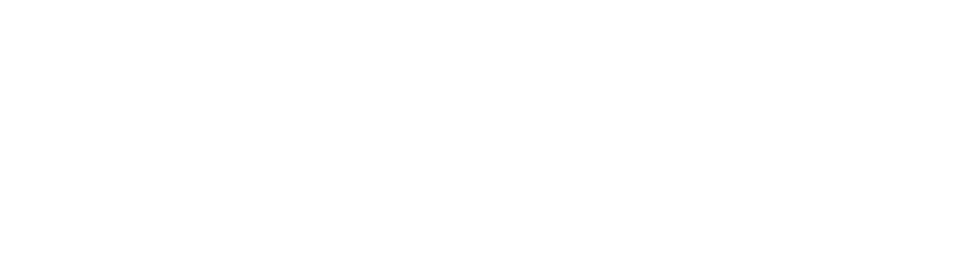 Endos Innova